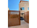 llbyaa-fyla-fy-shl-alzbdany-ryf-dmshk-small-3