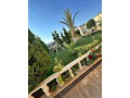 llbyaa-mzraa-fy-zbdyn-dmshk-small-3