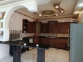 llbyaa-mzraa-fy-zbdyn-dmshk-small-7
