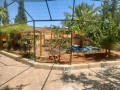 llbyaa-fyla-fy-drosha-dmshk-small-3