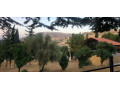 llbyaa-fyla-alzbdany-ryf-dmshk-small-0