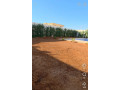 llbyaa-mzraa-fy-drosha-ryf-dmshk-small-2