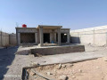 llbyaa-mzraa-aal-alaadm-zbdyn-ryf-dmshk-small-0