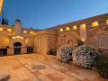 llbyaa-mzraa-tryk-almtar-dmshk-small-3