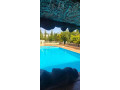 llbyaa-mzraa-fy-almlyh-dmshk-small-1