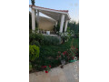 llbyaa-mzraa-fy-drosha-ryf-dmshk-small-2