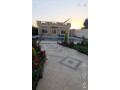 llbyaa-mzraa-fy-drosha-ryf-dmshk-small-0