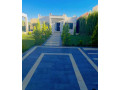 llbyaa-mzraa-fy-drosha-ryf-dmshk-small-0