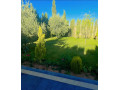 llbyaa-mzraa-fy-drosha-ryf-dmshk-small-4