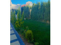llbyaa-mzraa-fy-drosha-ryf-dmshk-small-5