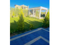 llbyaa-mzraa-fy-drosha-ryf-dmshk-small-1