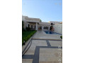 llbyaa-mzraa-fy-drosha-ryf-dmshk-small-0