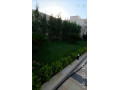llbyaa-mzraa-fy-drosha-ryf-dmshk-small-2
