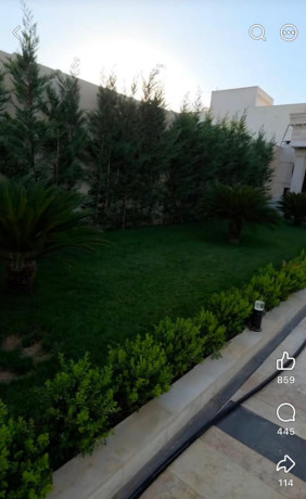 llbyaa-mzraa-fy-drosha-ryf-dmshk-big-2
