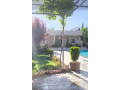 llbyaa-fyla-tryk-almtar-dmshk-small-4