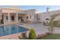 llbyaa-mzraa-fy-zbdyn-ryf-dmshk-small-0