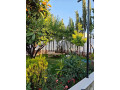 llbyaa-mzraa-balmlyh-ryf-dmshk-small-5