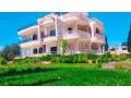 llbyaa-ksr-fy-khan-alshykh-ryf-dmshk-small-2