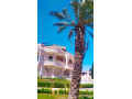 llbyaa-ksr-fy-khan-alshykh-ryf-dmshk-small-3