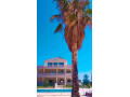 llbyaa-ksr-fy-khan-alshykh-ryf-dmshk-small-5