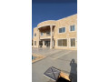 llbyaa-fyla-fy-shl-alzbdany-ryf-dmshk-small-0