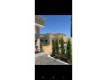 llbyaa-mzraa-tryk-almtar-dmshk-small-0