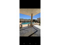 llbyaa-mzraa-tryk-almtar-dmshk-small-2