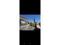 llbyaa-mzraa-tryk-almtar-dmshk-small-3