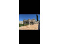 llbyaa-mzraa-tryk-almtar-dmshk-small-4