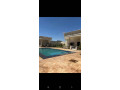 llbyaa-mzraa-tryk-almtar-dmshk-small-1