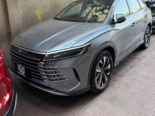 byd-lion-05-2026