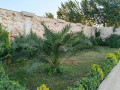 llbyaa-fyla-fy-zbdyn-ryf-dmshk-small-1