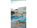 llbyaa-mzraa-fy-drosha-ryf-dmshk-small-1