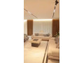 llbyaa-mzraa-fy-drosha-ryf-dmshk-small-3