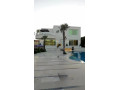 llbyaa-mzraa-fy-drosha-ryf-dmshk-small-0