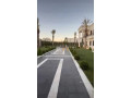 llbyaa-mzraa-fy-drosha-ryf-dmshk-small-2