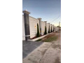 llbyaa-mzraa-fy-drosha-ryf-dmshk-small-3