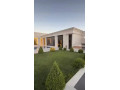 llbyaa-mzraa-fy-drosha-ryf-dmshk-small-5