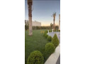 llbyaa-mzraa-fy-drosha-ryf-dmshk-small-1