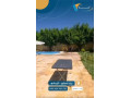 llbyaa-mzraa-fy-alzbdany-ryf-dmshk-small-1