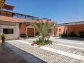 llbyaa-mzraa-tryk-almtar-dmshk-small-0