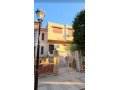 llbyaa-fyla-fy-kr-alsham-dmshk-small-0