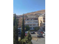 llbyaa-shk-fy-almalky-dmshk-small-2