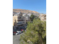 llbyaa-shk-fy-almalky-dmshk-small-5