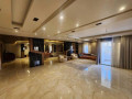 llbyaa-shk-fy-almalky-dmshk-small-6