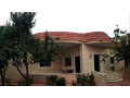 llbyaa-fyla-fy-alkso-ryf-dmshk-small-0