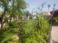llbyaa-fyla-fy-alkso-ryf-dmshk-small-5