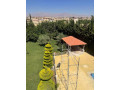 llbyaa-mzraa-fy-drosha-ryf-dmshk-small-3