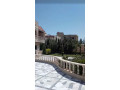 llbyaa-mzraa-fy-drosha-ryf-dmshk-small-2