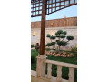 llbyaa-fyla-tryk-almtar-dmshk-small-3
